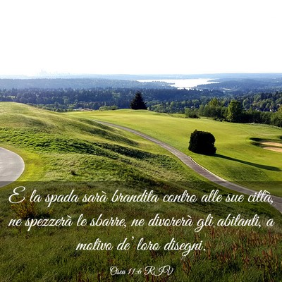 Picture 03 - Osea 11:6 RIV - E la spada sarà brandita contro alle sue città, - Bible Verse Picture