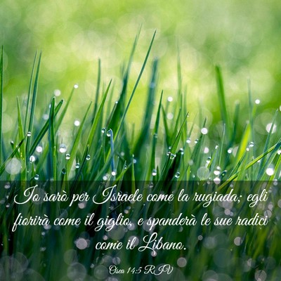 Picture 03 - Osea 14:5 RIV - Io sarò per Israele come la rugiada; egli - Bible Verse Picture
