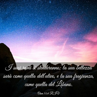 Picture 03 - Osea 14:6 RIV - I suoi rami si stenderanno; la sua bellezza sarà - Bible Verse Picture