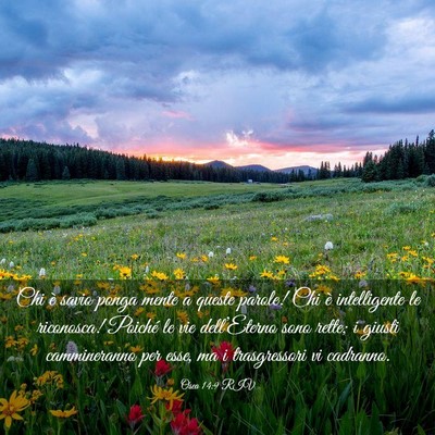 Picture 03 - Osea 14:9 RIV - Chi è savio ponga mente a queste parole! Chi è - Bible Verse Picture