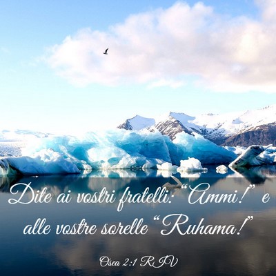 Picture 03 - Osea 2:1 RIV - Dite ai vostri fratelli: “Ammi!” e alle - Bible Verse Picture