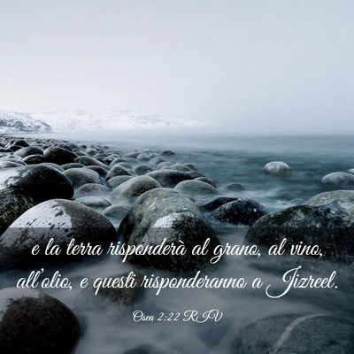 Picture 03 - Osea 2:22 RIV - e la terra risponderà al grano, al vino, - Bible Verse Picture