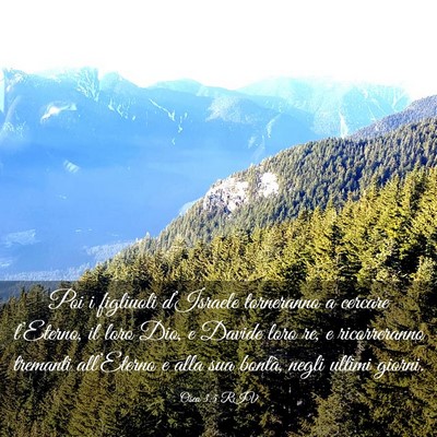 Picture 03 - Osea 3:5 RIV - Poi i figliuoli d’Israele torneranno a cercare - Bible Verse Picture