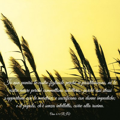 Picture 03 - Osea 4:14 RIV - Io non punirò le vostre figliuole perché si - Bible Verse Picture