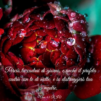 Picture 03 - Osea 4:5 RIV - Perciò tu cadrai di giorno, e anche il profeta - Bible Verse Picture