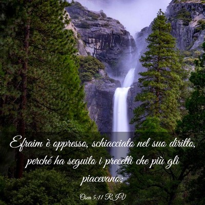 Picture 03 - Osea 5:11 RIV - Efraim è oppresso, schiacciato nel suo diritto, - Bible Verse Picture