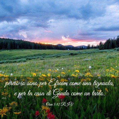 Picture 03 - Osea 5:12 RIV - perciò io sono per Efraim come una tignuola, e - Bible Verse Picture
