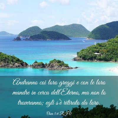 Picture 03 - Osea 5:6 RIV - Andranno coi loro greggi e con le loro mandre in - Bible Verse Picture