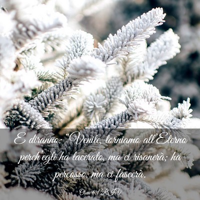 Picture 03 - Osea 6:1 RIV - E diranno: “Venite, torniamo all’Eterno - Bible Verse Picture