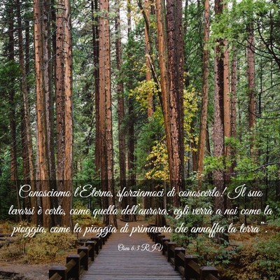 Picture 03 - Osea 6:3 RIV - Conosciamo l’Eterno, sforziamoci di conoscerlo! - Bible Verse Picture