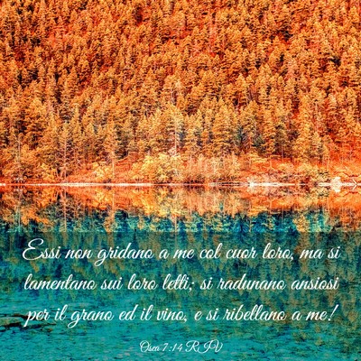 Picture 03 - Osea 7:14 RIV - Essi non gridano a me col cuor loro, ma si - Bible Verse Picture
