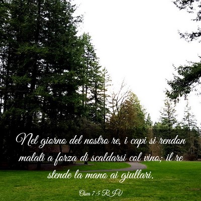 Picture 03 - Osea 7:5 RIV - Nel giorno del nostro re, i capi si rendon malati - Bible Verse Picture
