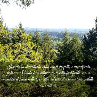 Picture 03 - Osea 8:14 RIV - Israele ha dimenticato colui che li ha fatti, e - Bible Verse Picture