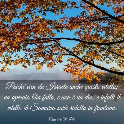 Picture 03 - Osea 8:6 RIV - Poiché vien da Israele anche questo vitello; un - Bible Verse Picture