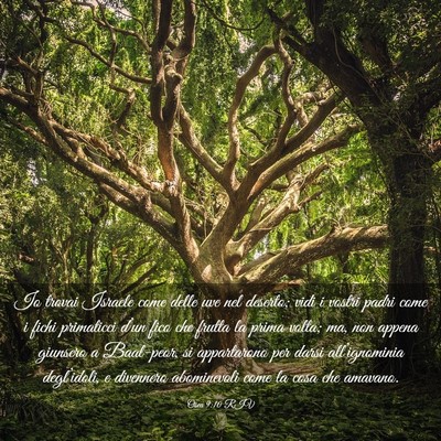 Picture 03 - Osea 9:10 RIV - Io trovai Israele come delle uve nel deserto; - Bible Verse Picture