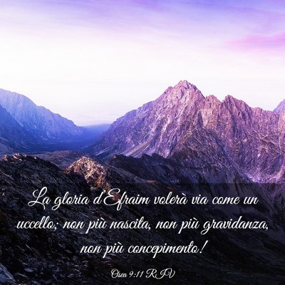 Picture 03 - Osea 9:11 RIV - La gloria d’Efraim volerà via come un uccello; - Bible Verse Picture