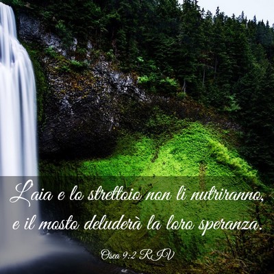 Picture 03 - Osea 9:2 RIV - L’aia e lo strettoio non li nutriranno, e il - Bible Verse Picture