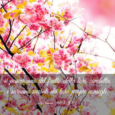 Picture 03 - Proverbi 1:31 RIV - si pasceranno del frutto della loro condotta, e - Bible Verse Picture
