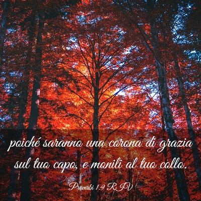 Picture 03 - Proverbi 1:9 RIV - poiché saranno una corona di grazia sul tuo - Bible Verse Picture