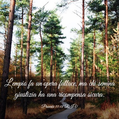 Picture 03 - Proverbi 11:18 RIV - L’empio fa un’opera fallace, ma chi semina - Bible Verse Picture
