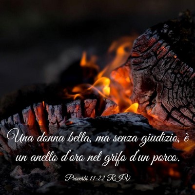 Picture 03 - Proverbi 11:22 RIV - Una donna bella, ma senza giudizio, è un anello - Bible Verse Picture