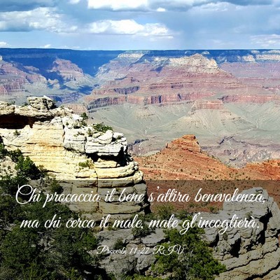 Picture 03 - Proverbi 11:27 RIV - Chi procaccia il bene s’attira benevolenza, ma - Bible Verse Picture