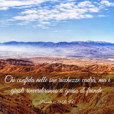 Picture 03 - Proverbi 11:28 RIV - Chi confida nelle sue ricchezze cadrà, ma i - Bible Verse Picture