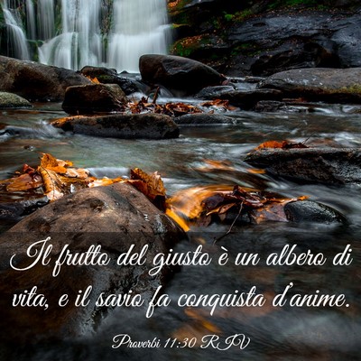 Picture 03 - Proverbi 11:30 RIV - Il frutto del giusto è un albero di vita, e il - Bible Verse Picture