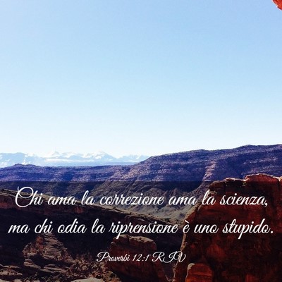 Picture 03 - Proverbi 12:1 RIV - Chi ama la correzione ama la scienza, ma chi odia - Bible Verse Picture