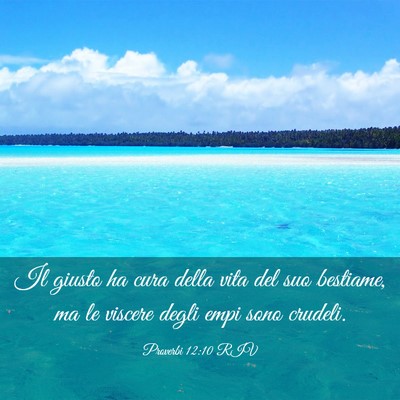 Picture 03 - Proverbi 12:10 RIV - Il giusto ha cura della vita del suo bestiame, ma - Bible Verse Picture