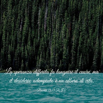 Picture 03 - Proverbi 13:12 RIV - La speranza differita fa languire il cuore, ma il - Bible Verse Picture