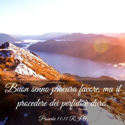 Picture 03 - Proverbi 13:15 RIV - Buon senno procura favore, ma il procedere dei - Bible Verse Picture