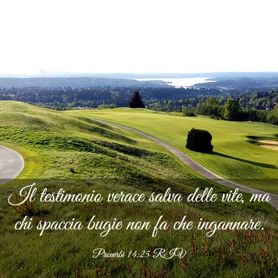 Picture 03 - Proverbi 14:25 RIV - Il testimonio verace salva delle vite, ma chi - Bible Verse Picture
