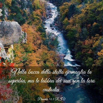 Picture 03 - Proverbi 14:3 RIV - Nella bocca dello stolto germoglia la superbia, - Bible Verse Picture