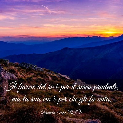 Picture 03 - Proverbi 14:35 RIV - Il favore del re è per il servo prudente, ma la - Bible Verse Picture