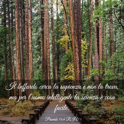 Picture 03 - Proverbi 14:6 RIV - Il beffardo cerca la sapienza e non la trova, ma - Bible Verse Picture