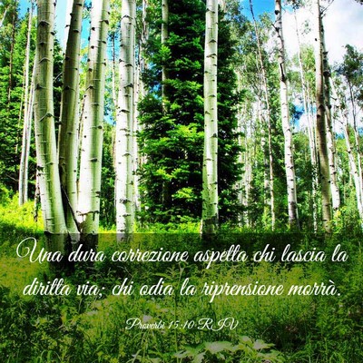 Picture 03 - Proverbi 15:10 RIV - Una dura correzione aspetta chi lascia la diritta - Bible Verse Picture