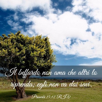 Picture 03 - Proverbi 15:12 RIV - Il beffardo non ama che altri lo riprenda; egli - Bible Verse Picture