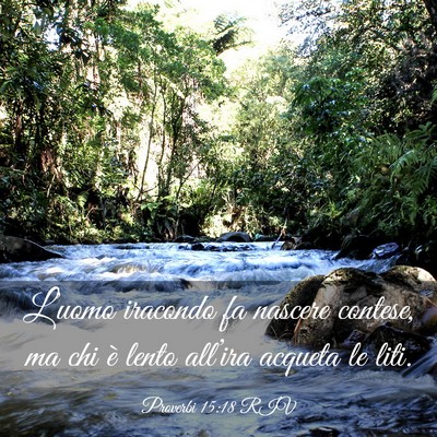 Picture 03 - Proverbi 15:18 RIV - L’uomo iracondo fa nascere contese, ma chi è - Bible Verse Picture