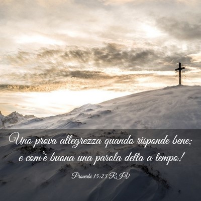 Picture 03 - Proverbi 15:23 RIV - Uno prova allegrezza quando risponde bene; e - Bible Verse Picture
