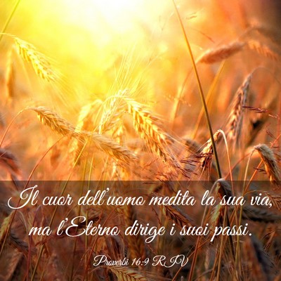 Picture 03 - Proverbi 16:9 RIV - Il cuor dell’uomo medita la sua via, ma - Bible Verse Picture