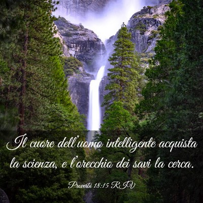 Picture 03 - Proverbi 18:15 RIV - Il cuore dell’uomo intelligente acquista la - Bible Verse Picture