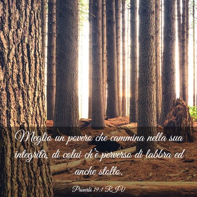 Picture 03 - Proverbi 19:1 RIV - Meglio un povero che cammina nella sua - Bible Verse Picture