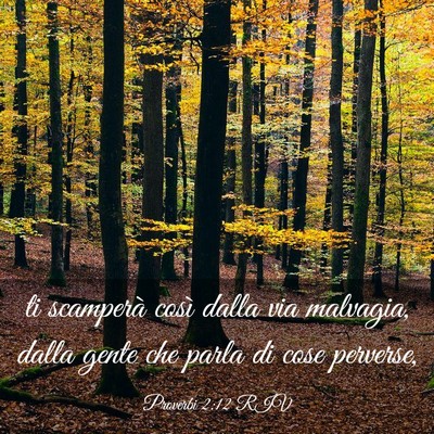 Picture 03 - Proverbi 2:12 RIV - ti scamperà così dalla via malvagia, dalla - Bible Verse Picture