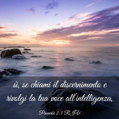 Picture 03 - Proverbi 2:3 RIV - sì, se chiami il discernimento e rivolgi la tua - Bible Verse Picture