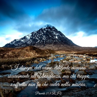 Picture 03 - Proverbi 21:5 RIV - I disegni dell’uomo diligente menano - Bible Verse Picture