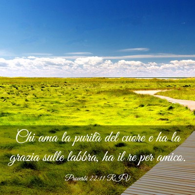 Picture 03 - Proverbi 22:11 RIV - Chi ama la purità del cuore e ha la grazia sulle - Bible Verse Picture