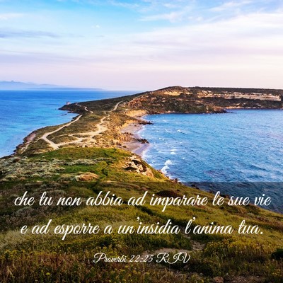 Picture 03 - Proverbi 22:25 RIV - che tu non abbia ad imparare le sue vie e ad - Bible Verse Picture