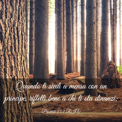 Picture 03 - Proverbi 23:1 RIV - Quando ti siedi a mensa con un principe, rifletti - Bible Verse Picture