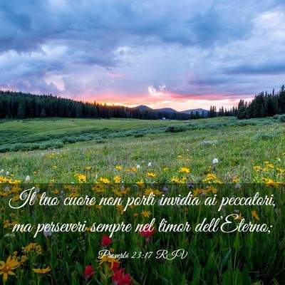 Picture 03 - Proverbi 23:17 RIV - Il tuo cuore non porti invidia ai peccatori, ma - Bible Verse Picture